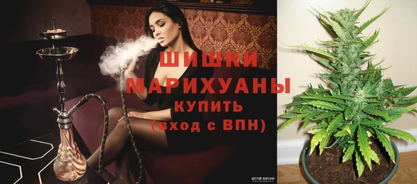 mdpv Медвежьегорск