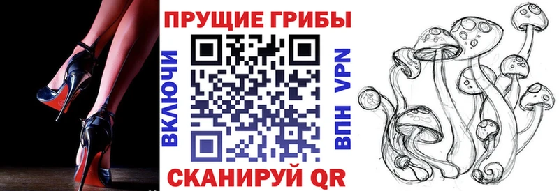 Псилоцибиновые грибы MAGIC MUSHROOMS  Галич 